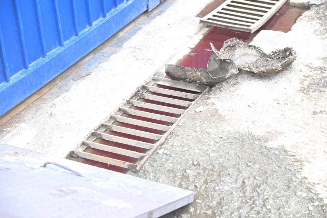 Suspensión de Matadero de Aves en Colonia Potrero por Contaminación Suspensión de Matadero de Aves en Colonia Potrero por Contaminación