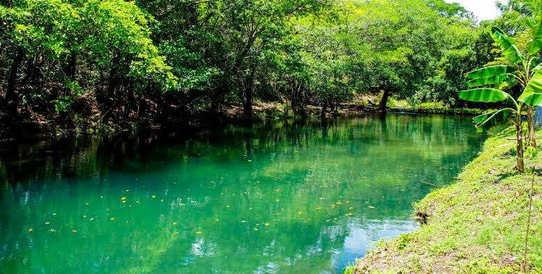 Turismo rural, sin condiciones necesarias para su éxito Turismo rural, sin condiciones necesarias para su éxito
