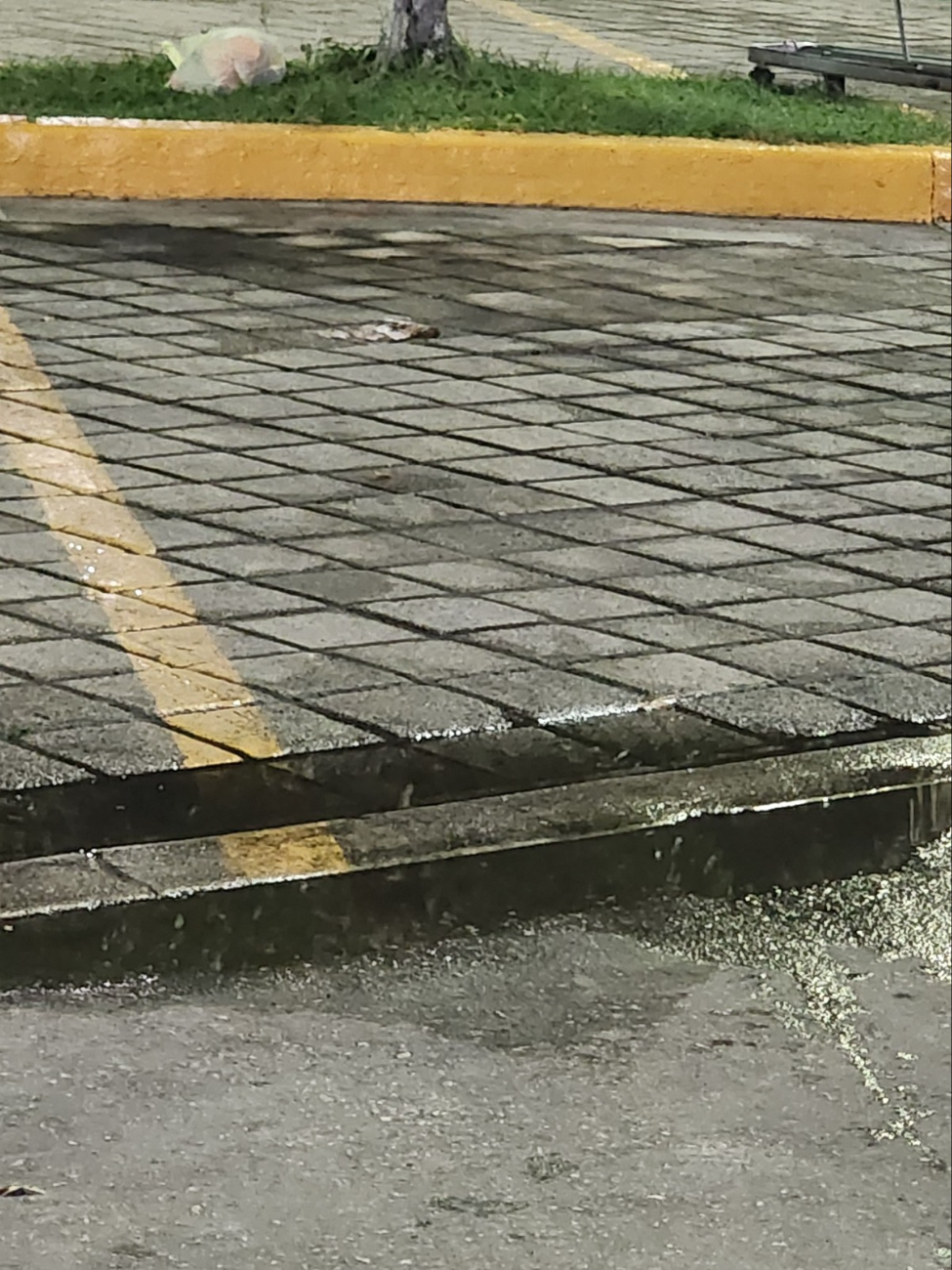 Denuncian malos olores por aguas negras en supermercado de Chetumal