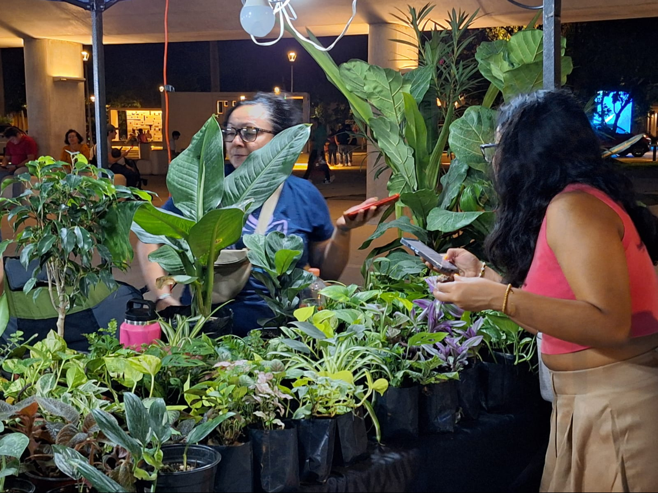 Expositores también ofrecieron gran variedad de plantas Expositores también ofrecieron gran variedad de plantas