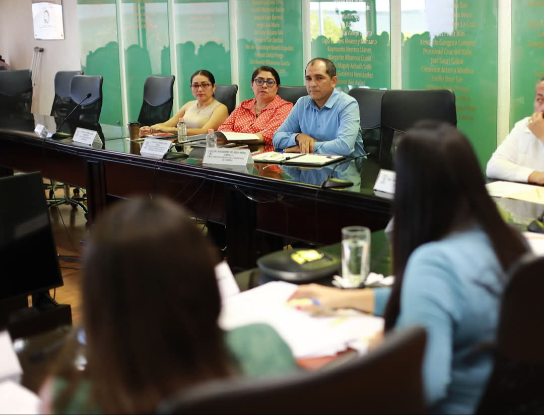 La reforma a la Ley de Turismo del Estado de Quintana Roo busca ser más efectiva en esta problemática. La reforma a la Ley de Turismo del Estado de Quintana Roo busca ser más efectiva en esta problemática.