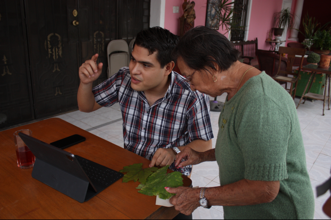 Vecinos señalaron que el trigo igual ha dañado sus plantas Vecinos señalaron que el trigo igual ha dañado sus plantas