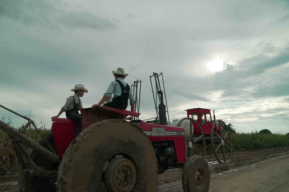 Estas familias llegaron a Bacalaar en el 2000, expandiéndose a distintos ejidos. Estas familias llegaron a Bacalaar en el 2000, expandiéndose a distintos ejidos.