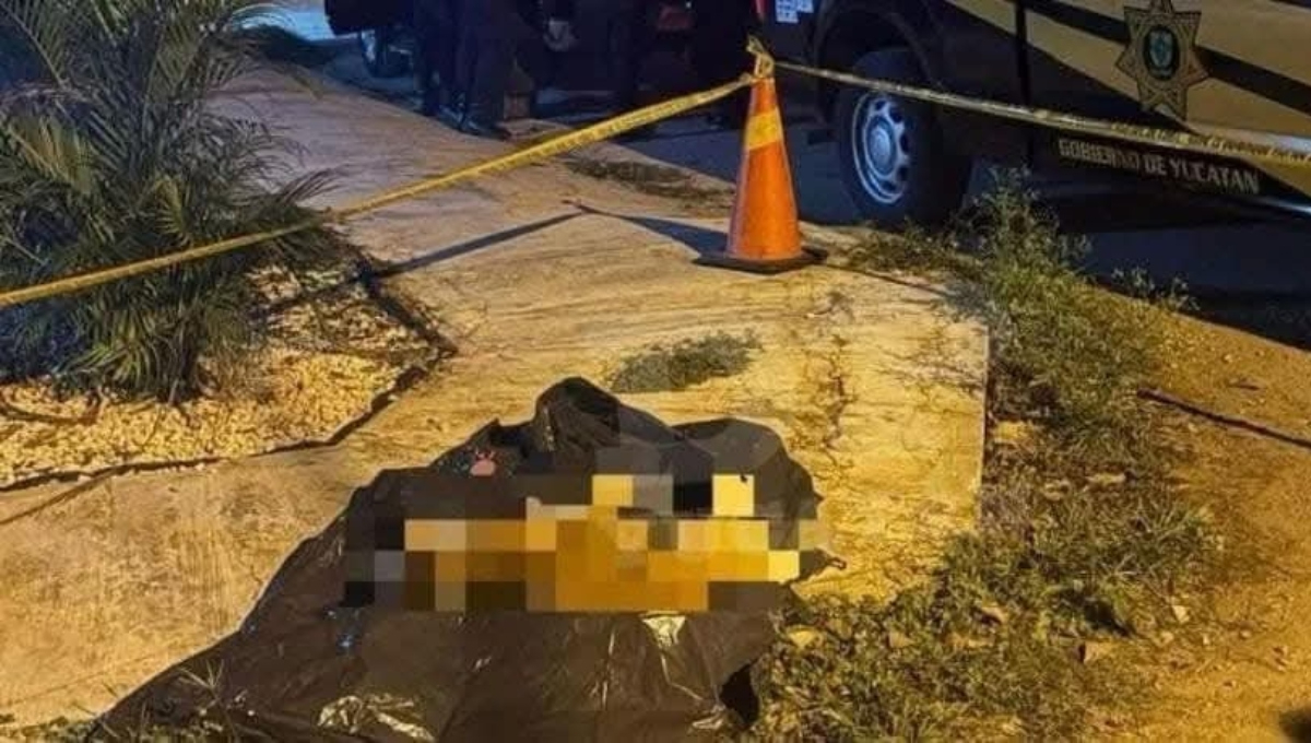 El perro fue llevado a un veterinario, pero ya no tenía signos vitales