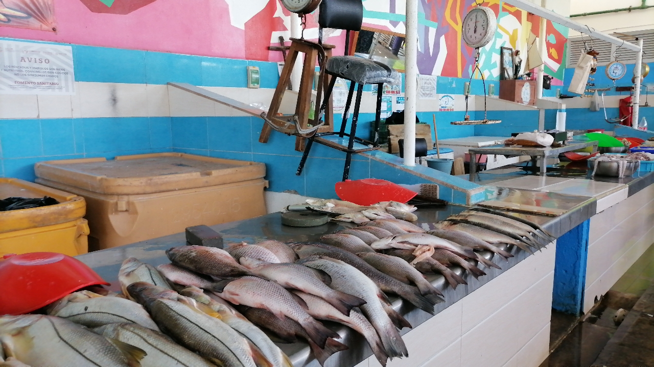 La Cuaresma ayuda bastante a quienes comercian especies marinas. La Cuaresma ayuda bastante a quienes comercian especies marinas.