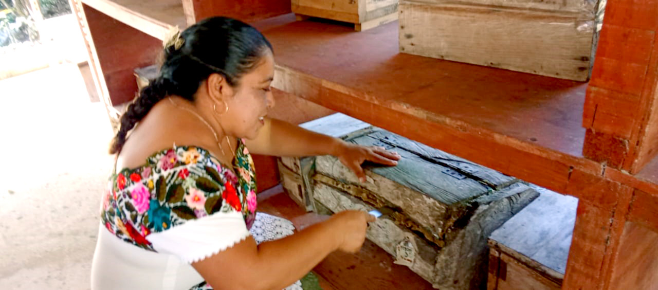 Colectivo “Muuch Kaab” celebra 20 años de elaborar productos naturales con miel melipona