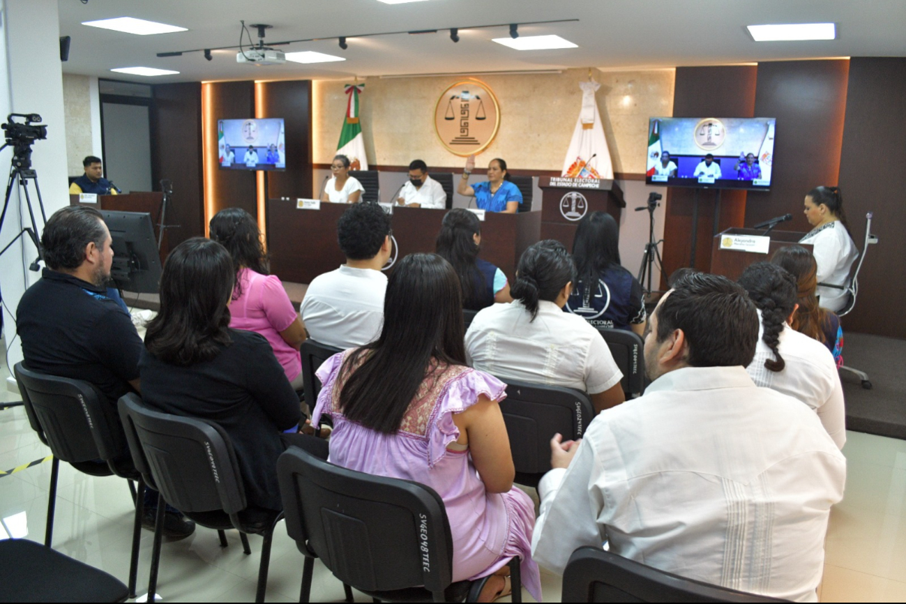 Sancionan a páginas de redes sociales por violencia política a Diputada campechana