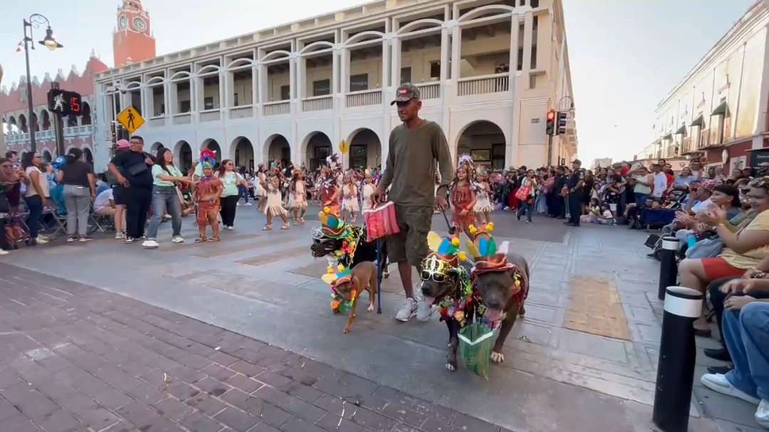 Tayson, Zeus, Thor y Dinky se robaron los aplausos del público durante el desfile infantil del Carnaval de Mérida Tayson, Zeus, Thor y Dinky se robaron los aplausos del público durante el desfile infantil del Carnaval de Mérida