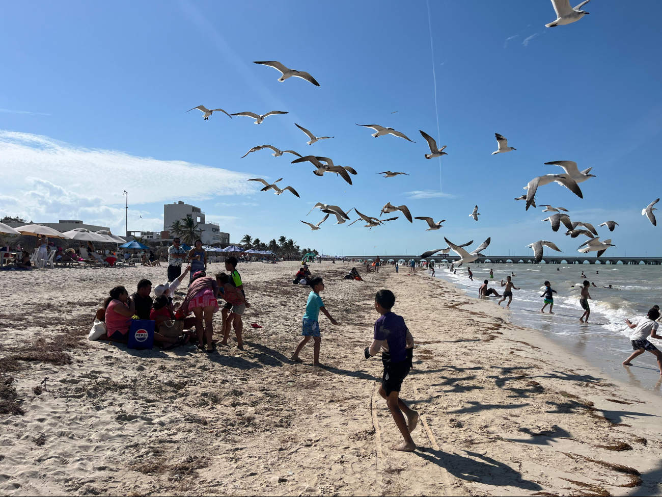 Este primer día inhábil del 2025 dejó gran movilización de turistas en Progreso Este primer día inhábil del 2025 dejó gran movilización de turistas en Progreso