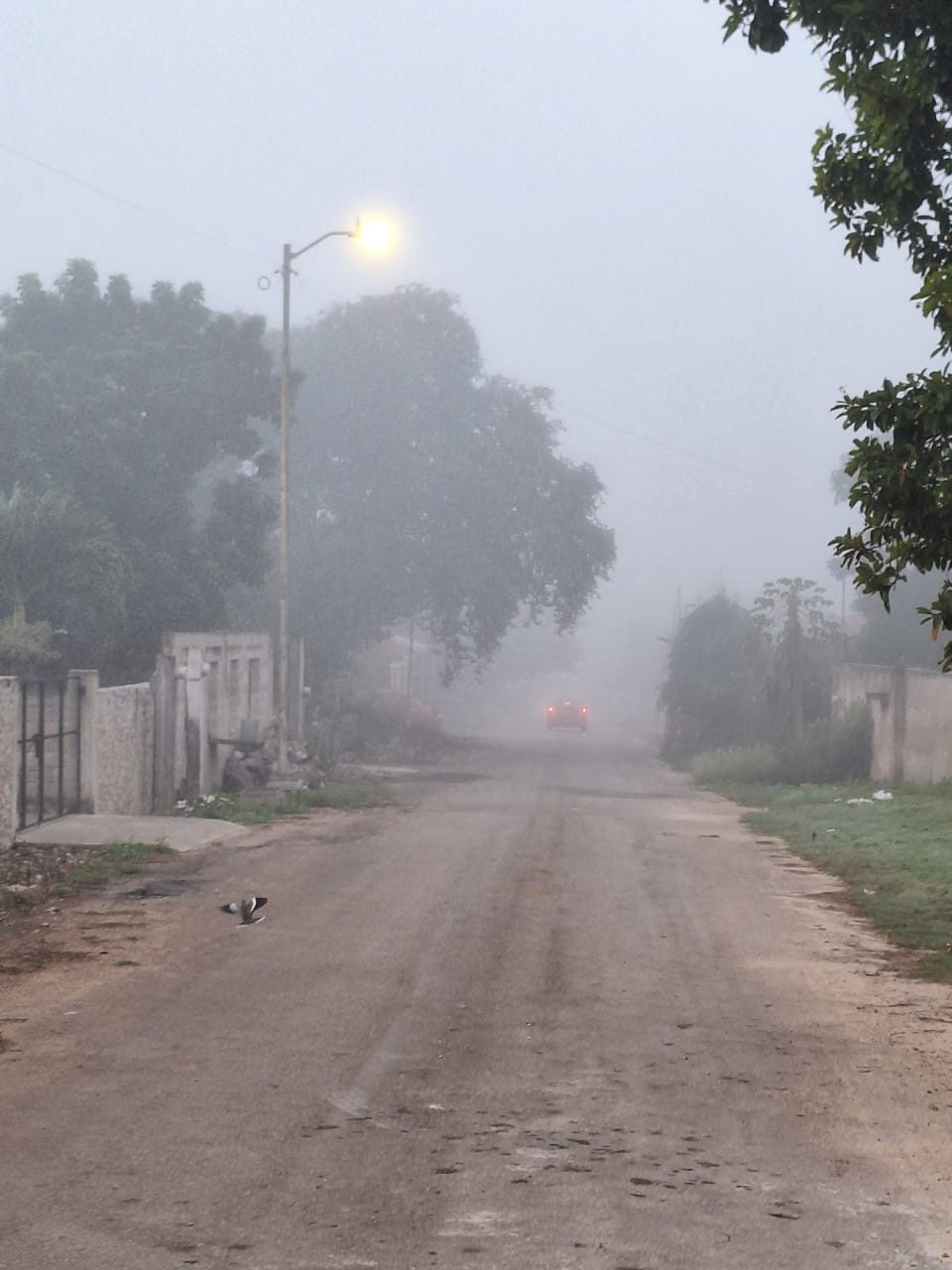 Desde las primeras horas de la mañana se hicieron presencia los bancos de niebla Desde las primeras horas de la mañana se hicieron presencia los bancos de niebla