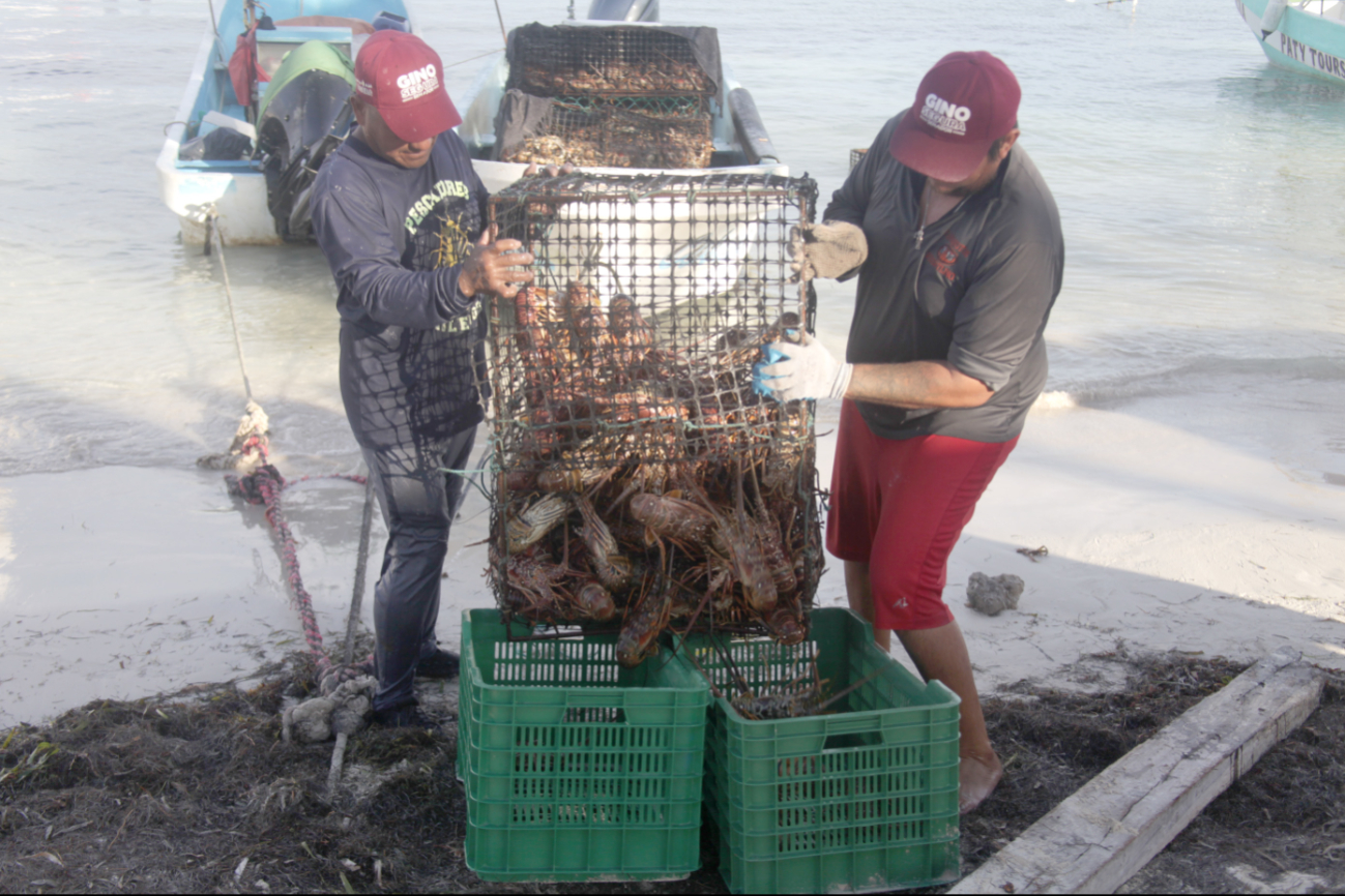 El principal consumidor de mariscos ha sido el vecino país del norte El principal consumidor de mariscos ha sido el vecino país del norte