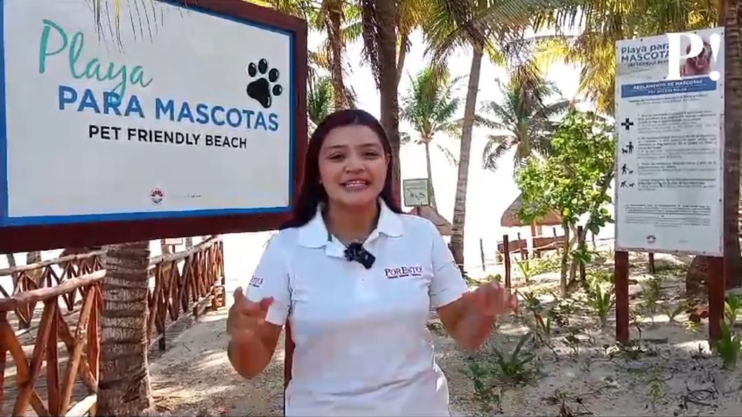 Playa Coral cuenta con espacios para que los perritos puedan disfrutar de su visita de forma amigable Playa Coral cuenta con espacios para que los perritos puedan disfrutar de su visita de forma amigable