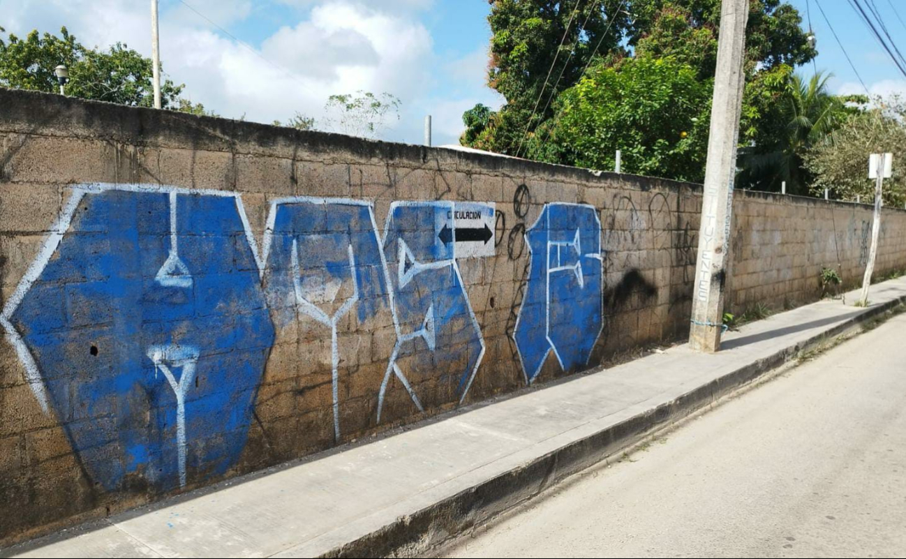 Fue alrededor de las 3 de la madrugada cuando elementos policiales sorprendieron al grafitero Fue alrededor de las 3 de la madrugada cuando elementos policiales sorprendieron al grafitero