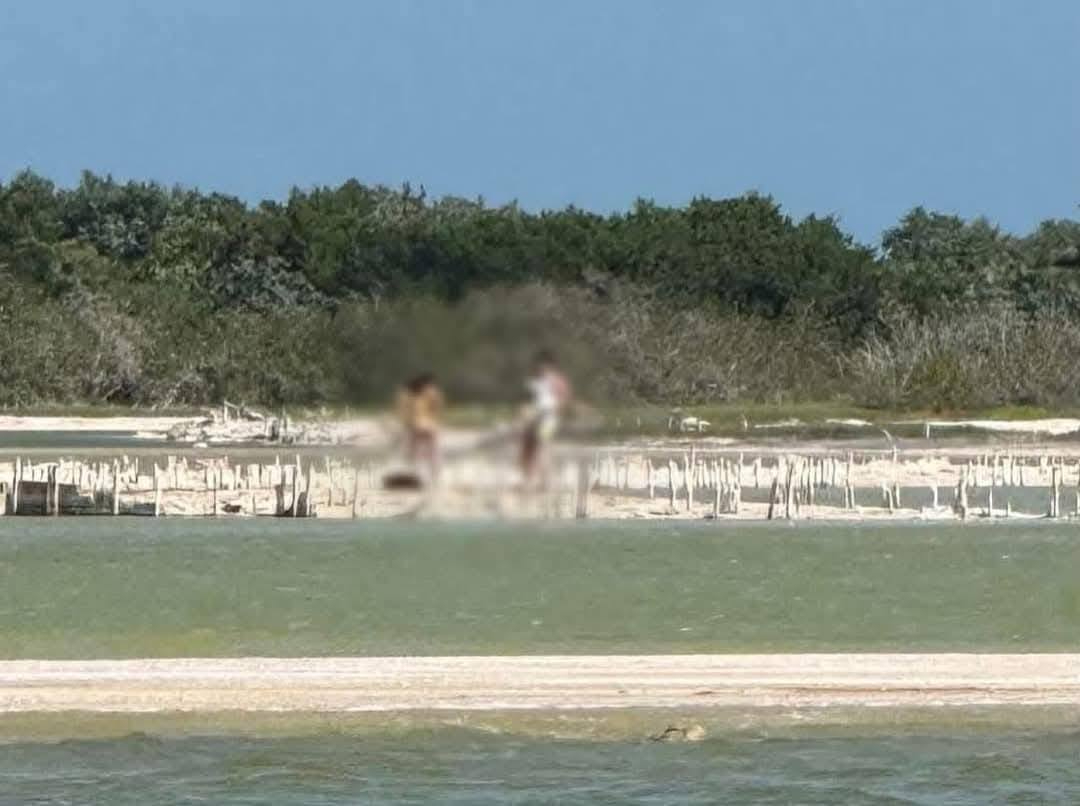 La pareja tomó fotografías sin ropa en la Reserva de Río Lagartos La pareja tomó fotografías sin ropa en la Reserva de Río Lagartos