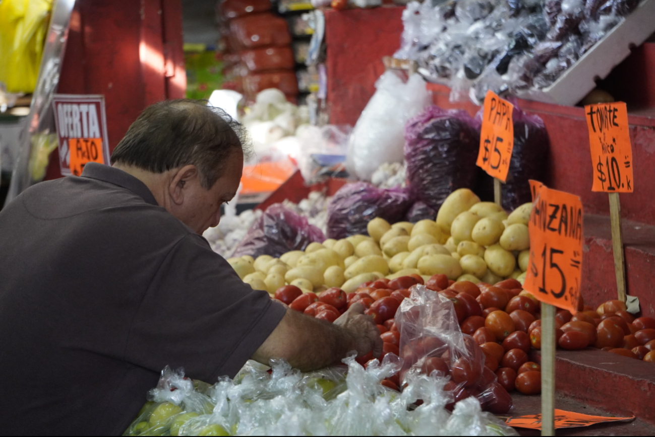 La producción agrícola en Campeche es destacada, con un alto impacto económico La producción agrícola en Campeche es destacada, con un alto impacto económico