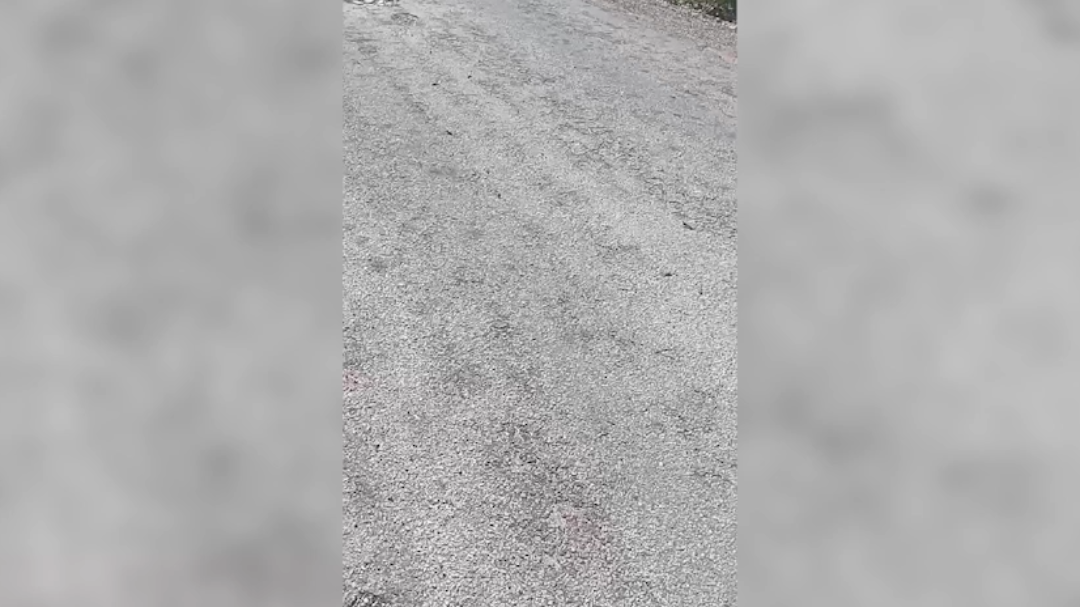 Un pescador grabó el inusual espectáculo y lo dio a conocer Un pescador grabó el inusual espectáculo y lo dio a conocer