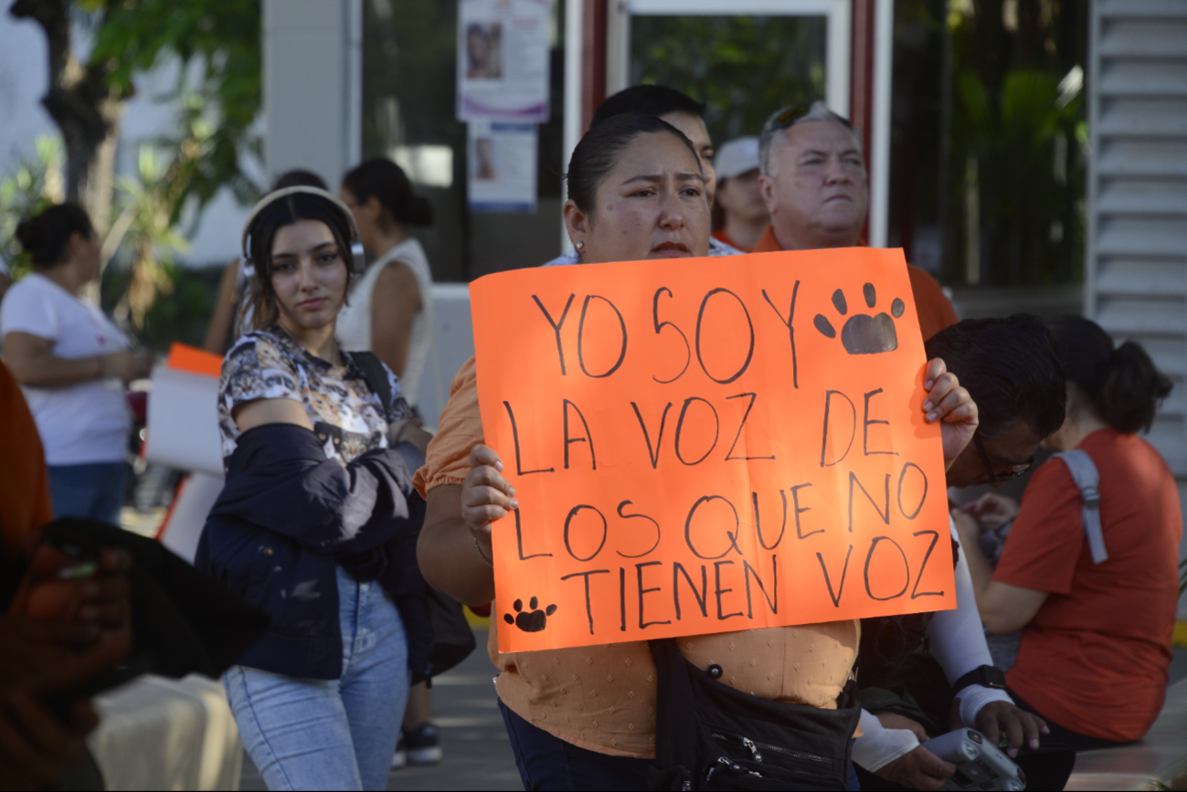 Aunque existe una ley en defensa de los animales, los castigos a agresores no son justos Aunque existe una ley en defensa de los animales, los castigos a agresores no son justos