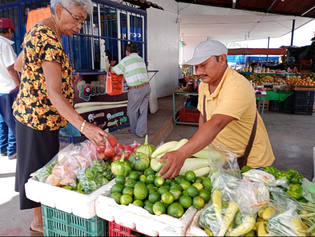 El limón podría elevar su precio en Semana Santa en Yucatán El limón podría elevar su precio en Semana Santa en Yucatán
