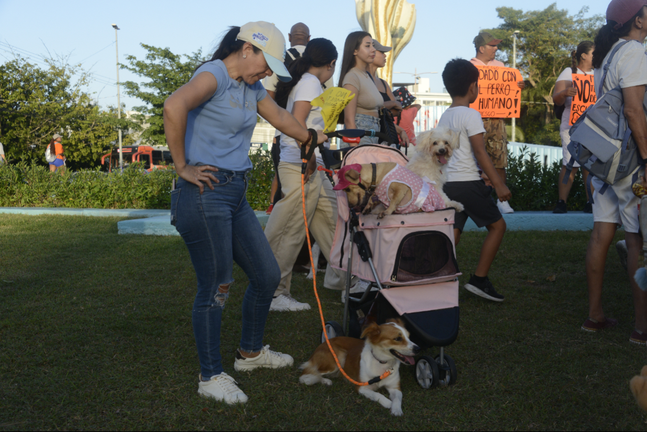 Manifestantes de todas las edades asistieron con sus mascotas Manifestantes de todas las edades asistieron con sus mascotas
