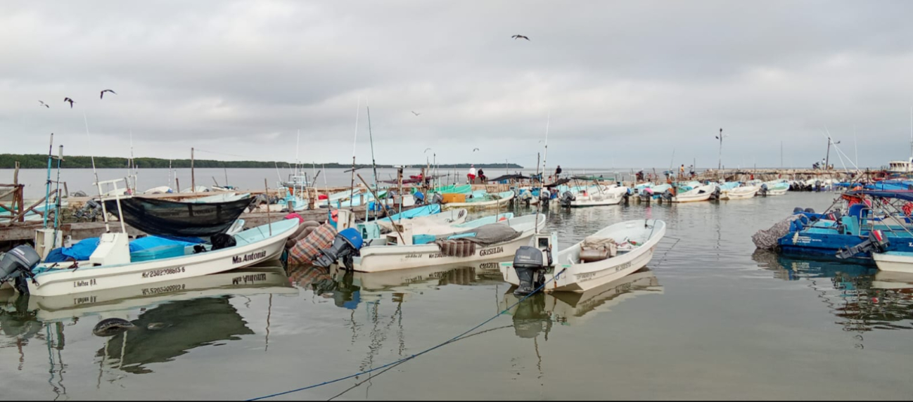 Debido al mal clima, los pescadores deben parar sus actividades entre dos o tres días Debido al mal clima, los pescadores deben parar sus actividades entre dos o tres días