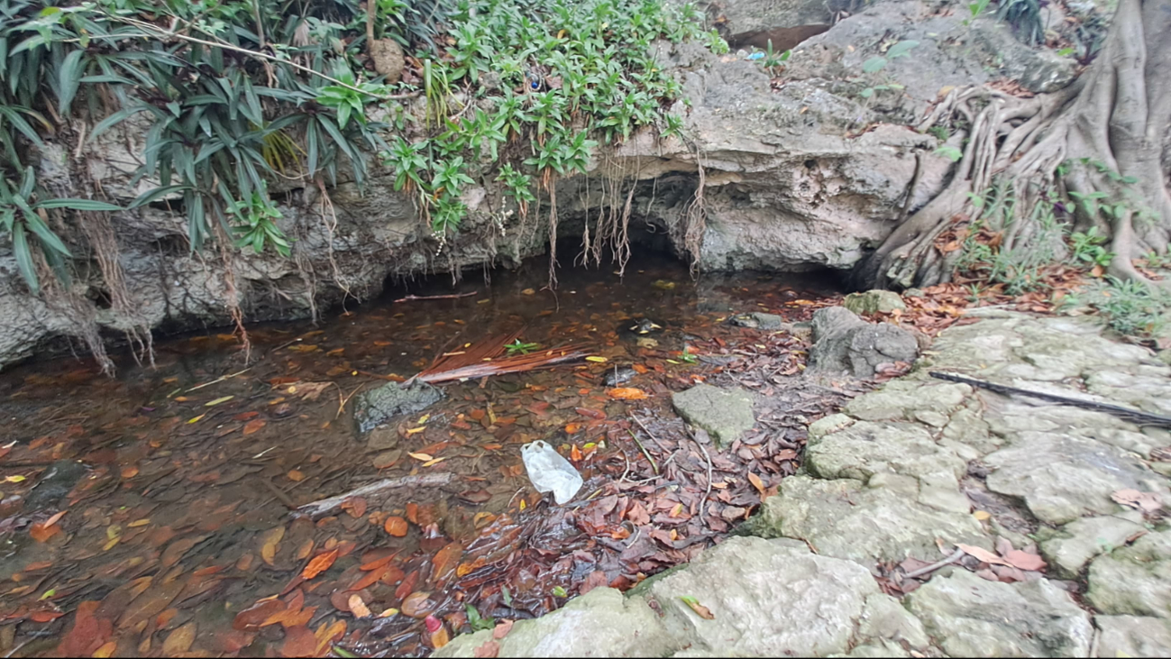 La acumulación de basura forma focos de infección poniendo en riesgo a los habitantes La acumulación de basura forma focos de infección poniendo en riesgo a los habitantes