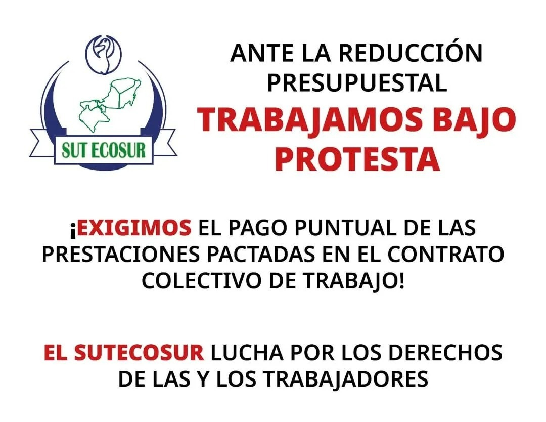 Miembros de la organización han manifestado su insatisfacción ante las nuevas medidas. Miembros de la organización han manifestado su insatisfacción ante las nuevas medidas.