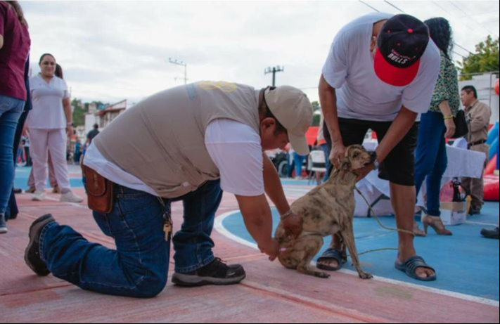 Campeche refuerza la salud pública Campeche refuerza la salud pública
