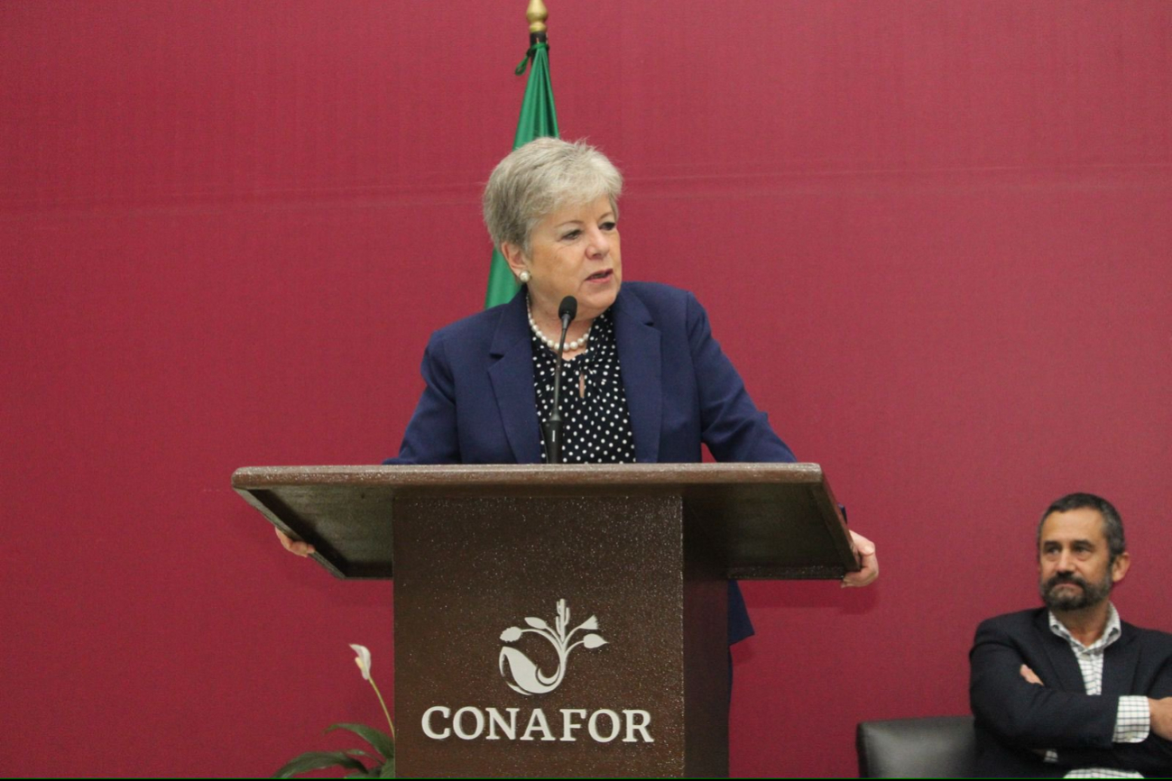 Alicia Bárcena estará de visita en Mérida Alicia Bárcena estará de visita en Mérida