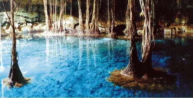 Cenotes de Campeche Cenotes de Campeche