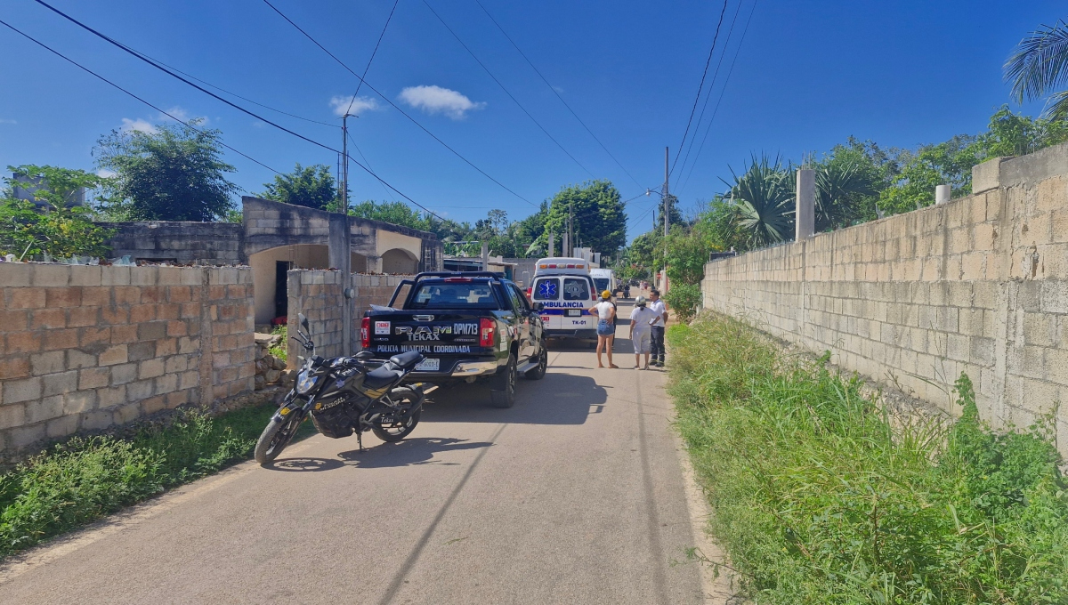 Adulta mayor es dejada a su suerte por sus hijos en un terreno baldío de la colonia Yocchenkax Adulta mayor es dejada a su suerte por sus hijos en un terreno baldío de la colonia Yocchenkax