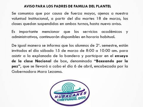Es probable que más instituciones se unan al paro de actividades. Es probable que más instituciones se unan al paro de actividades.