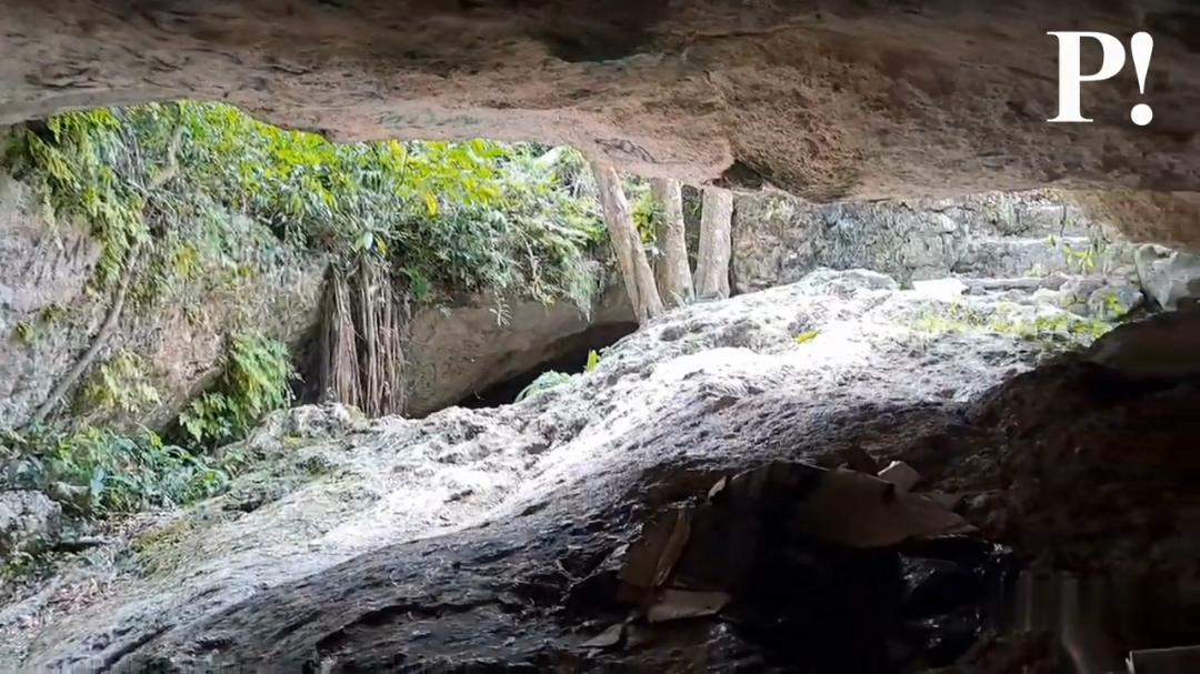Las campañas de limpieza a cenotes en la ciudad no han dado buenos resultados para mantenerlos limpios Las campañas de limpieza a cenotes en la ciudad no han dado buenos resultados para mantenerlos limpios