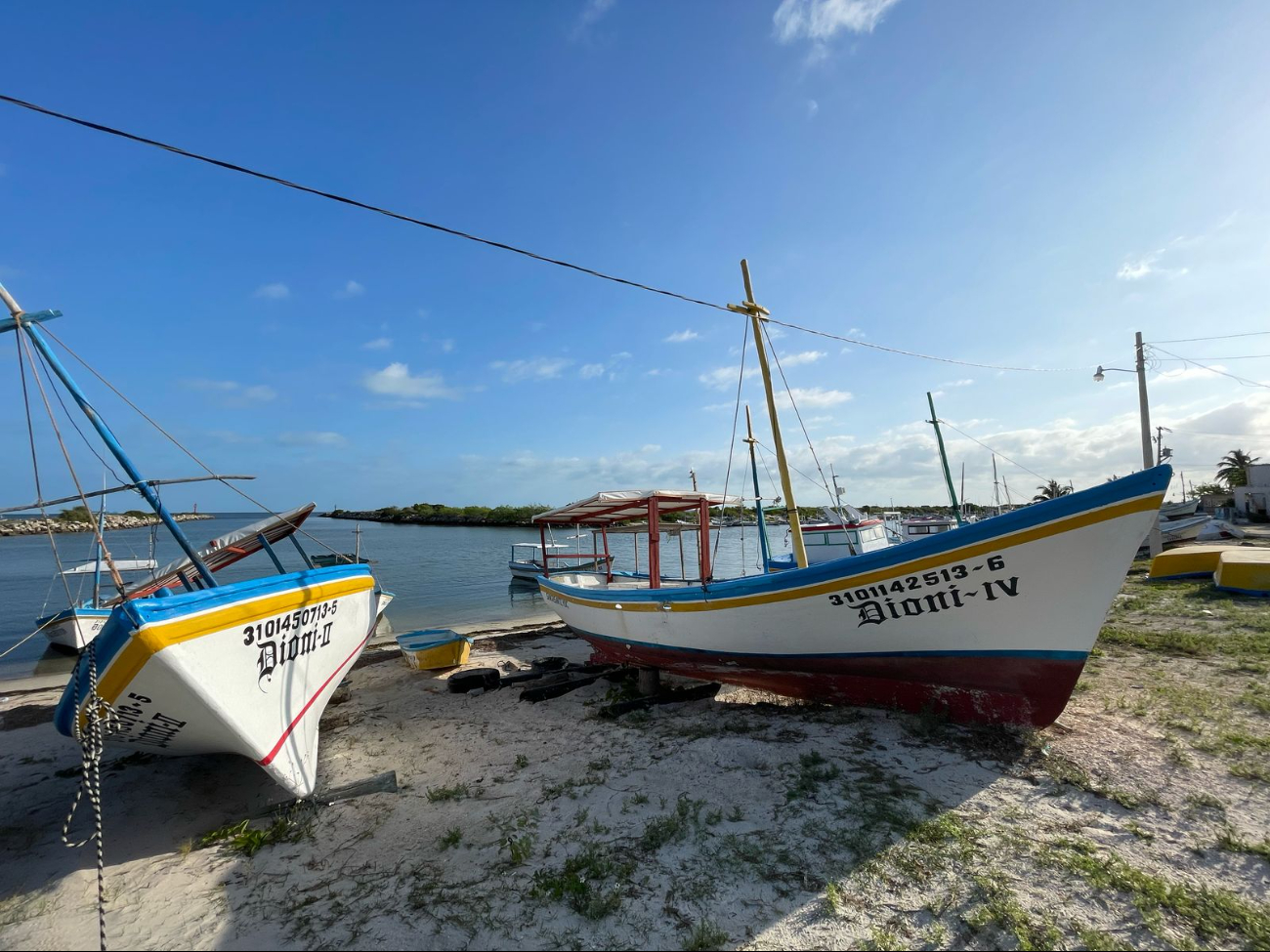 Cuaresma en crisis: Frentes fríos afectan al sector pesquero en Yucatán 