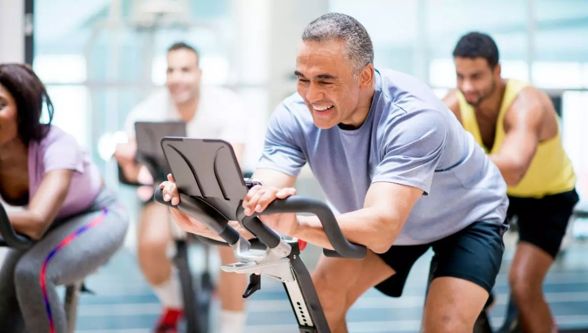 A partir de los 40, la estimulación de la musculatura previene la pérdida de fibras de tipo 2 (las generadoras de fuerza) A partir de los 40, la estimulación de la musculatura previene la pérdida de fibras de tipo 2 (las generadoras de fuerza)