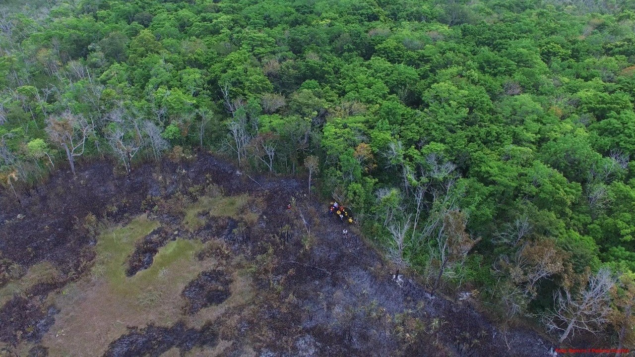 La deforestación de las selvas han alterado el clima, ocasionando sequías cada vez más intensas. La deforestación de las selvas han alterado el clima, ocasionando sequías cada vez más intensas.