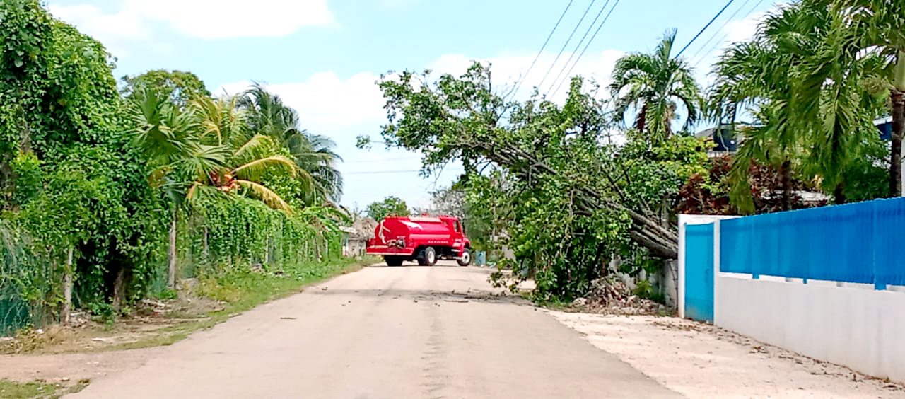 Vientos de hasta 50 km/h en Lázaro Cárdenas afectaron la navegación, derribaron árboles y ocasionaron apagones menores Vientos de hasta 50 km/h en Lázaro Cárdenas afectaron la navegación, derribaron árboles y ocasionaron apagones menores