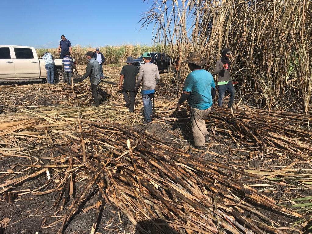 Productores afirmaron que la salida de azúcar seguirá en pausa hasta tener nuevas indicaciones de las dirigencias nacionales Productores afirmaron que la salida de azúcar seguirá en pausa hasta tener nuevas indicaciones de las dirigencias nacionales