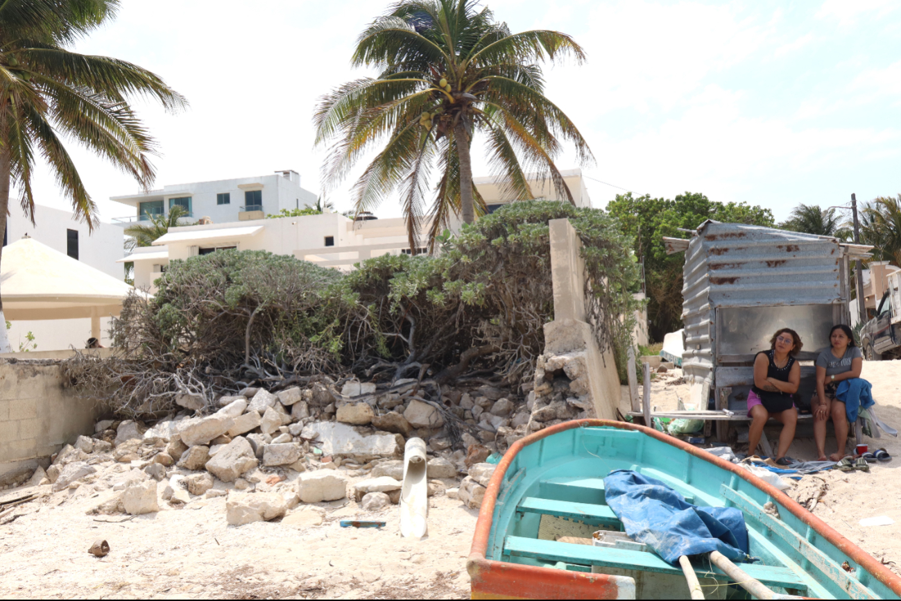 Nueva alerta por depredación en la  costa de Yucatán: Chicxulub enfrenta grave deterioro por la destrucción de los manglares