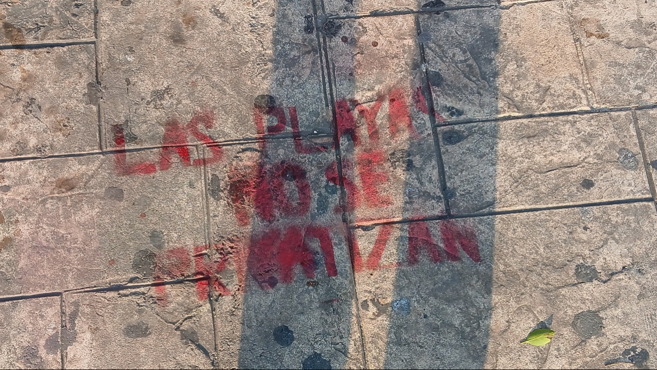 Piden la salida de gringos utilizando pintas y graffitis Piden la salida de gringos utilizando pintas y graffitis