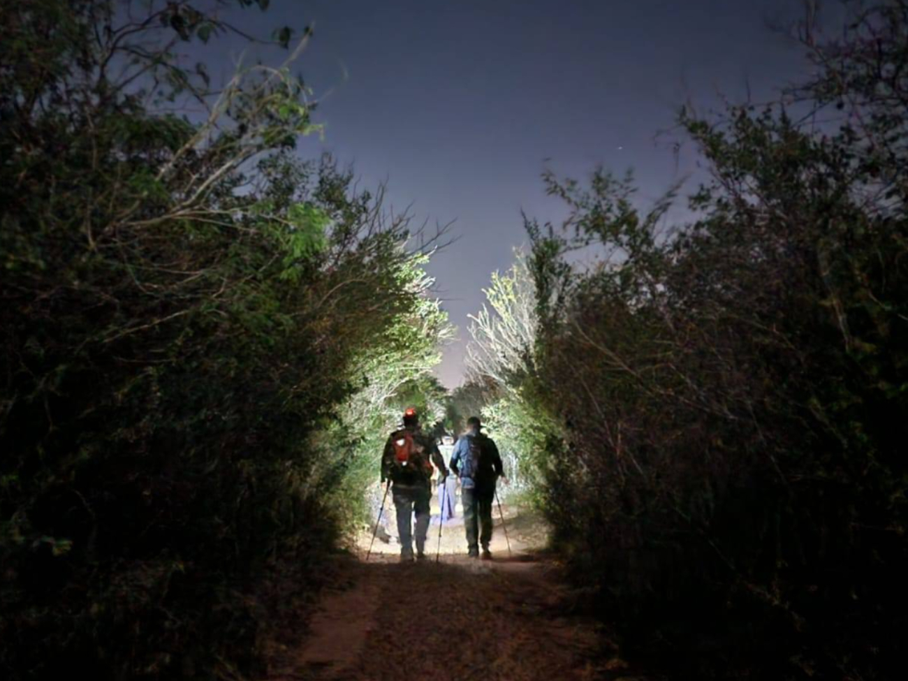 El senderismo nocturno es una actividad que se ha popularizado en Yucatán El senderismo nocturno es una actividad que se ha popularizado en Yucatán