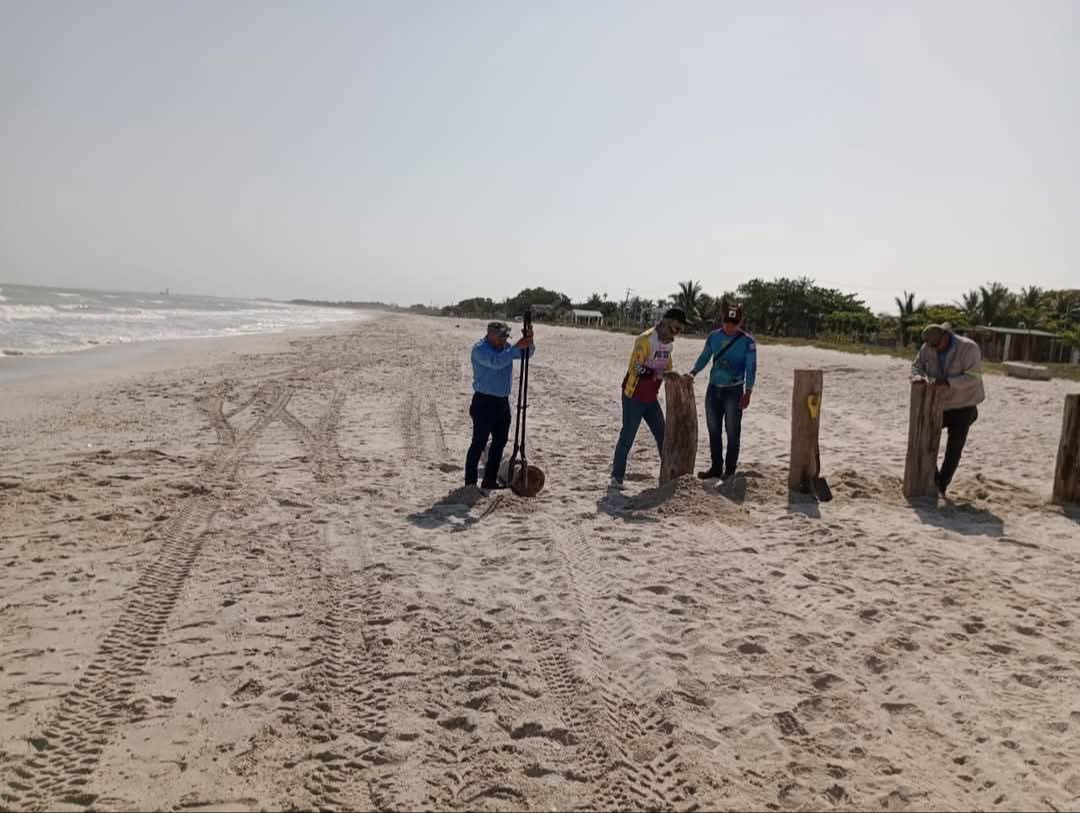 Vehículos irrumpieron una zona de anidación de tortugas, creando indignación en redes sociales Vehículos irrumpieron una zona de anidación de tortugas, creando indignación en redes sociales