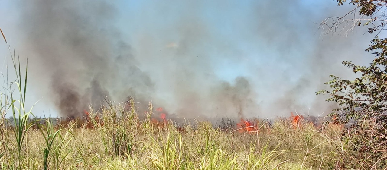 Autoridades y curiosos ayudaron para sofocar el fuego. Autoridades y curiosos ayudaron para sofocar el fuego.