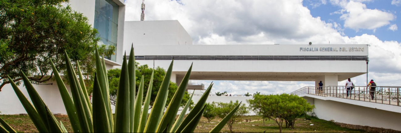 La dependencia proyectó resolver un 25 por ciento de casos en el 2024, pero logró el 35 por ciento La dependencia proyectó resolver un 25 por ciento de casos en el 2024, pero logró el 35 por ciento