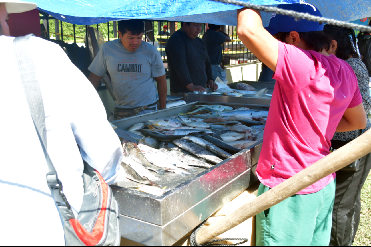 Pese a cuaresma  no repunta la venta de pescado en el mercado del “7 de Agosto” de Campeche   