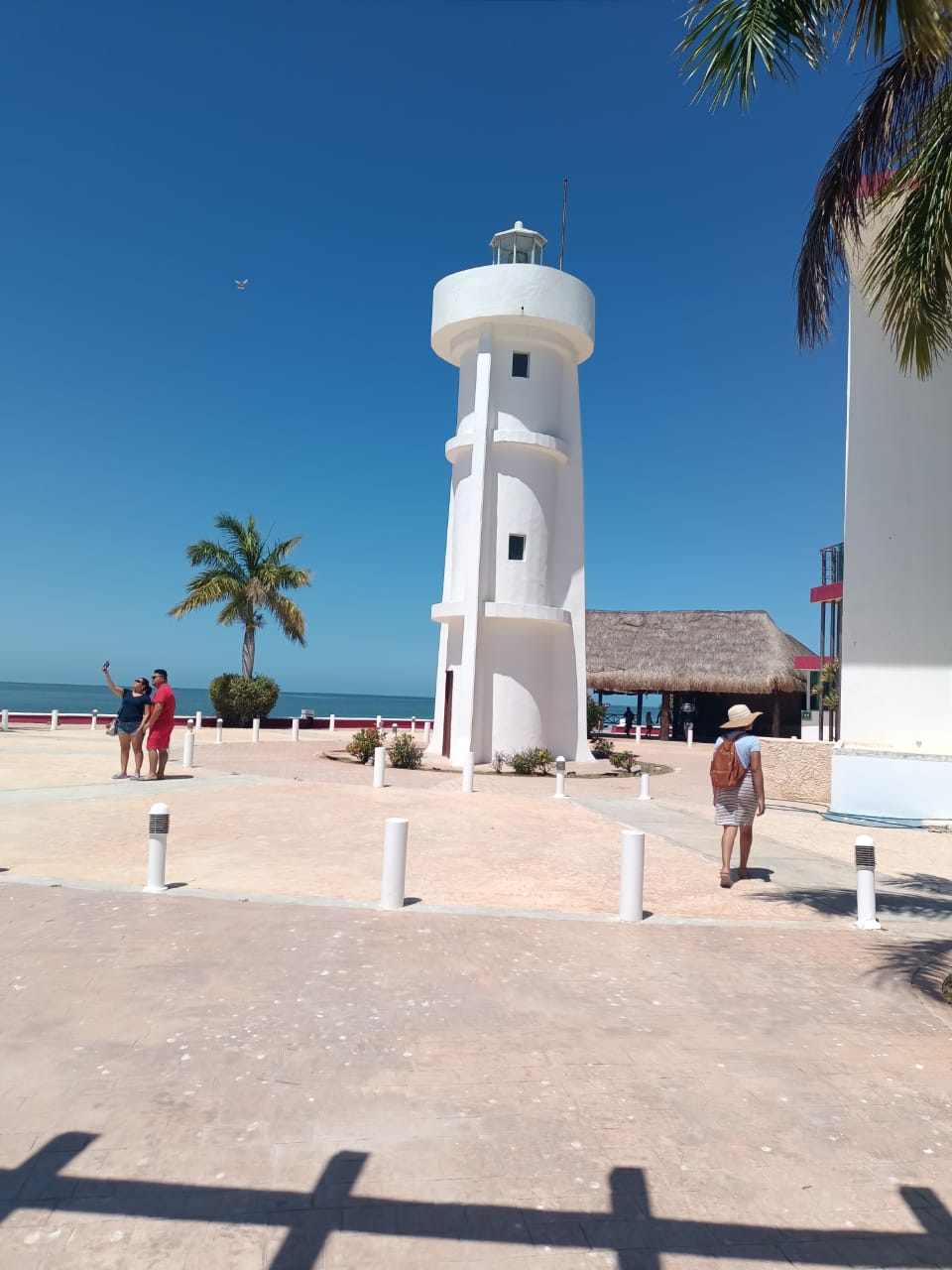 Acusan corrupción en venta de tierras Acusan corrupción en venta de tierras