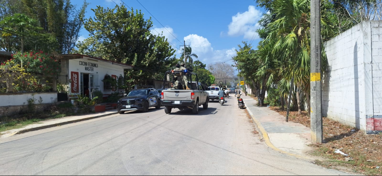 Otras fueron identificadas en una cuartería en el acceso a la ciudad, con carretera a Chetumal Otras fueron identificadas en una cuartería en el acceso a la ciudad, con carretera a Chetumal