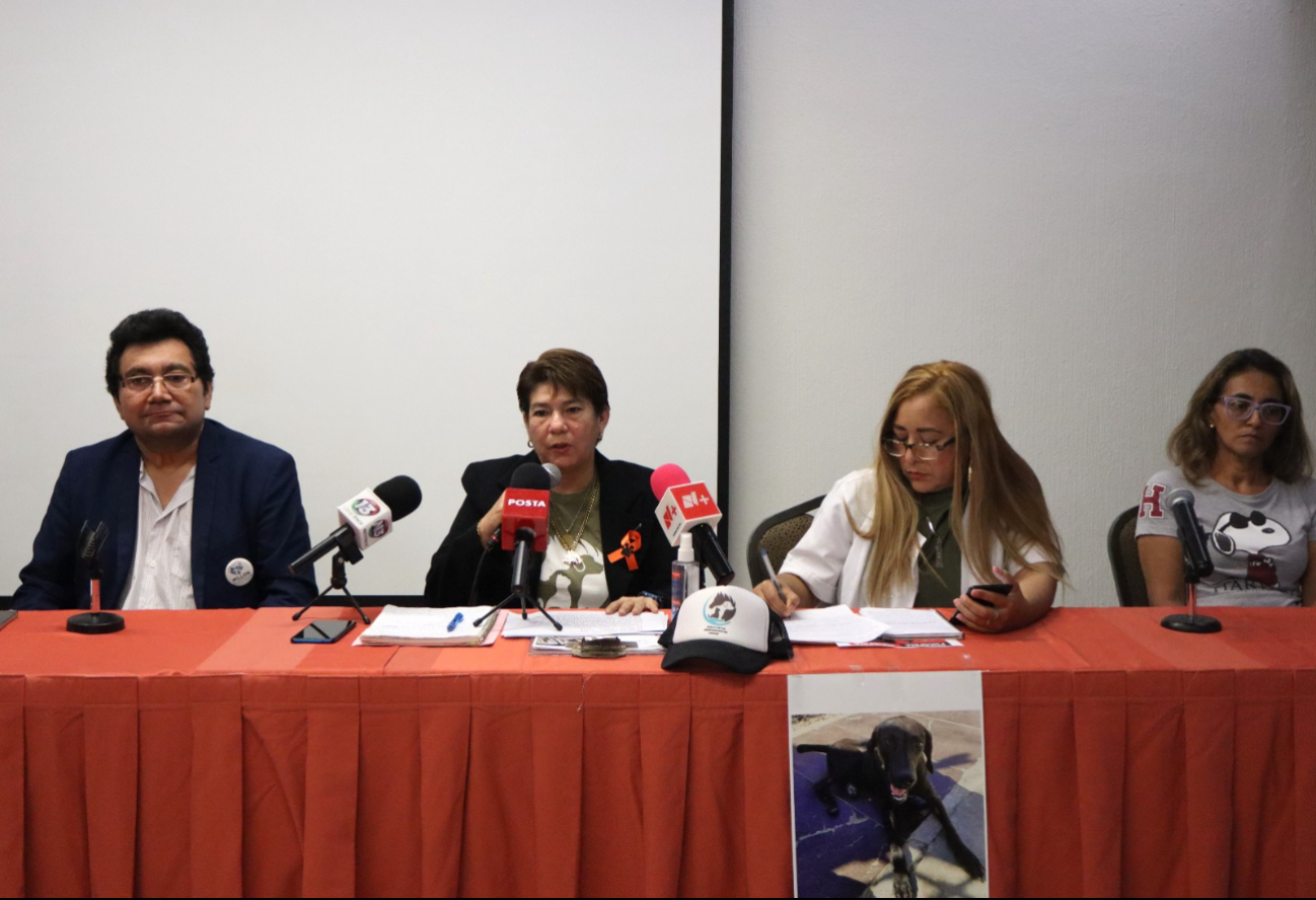Piden a la FGE Yucatán que investigue el caso Piden a la FGE Yucatán que investigue el caso