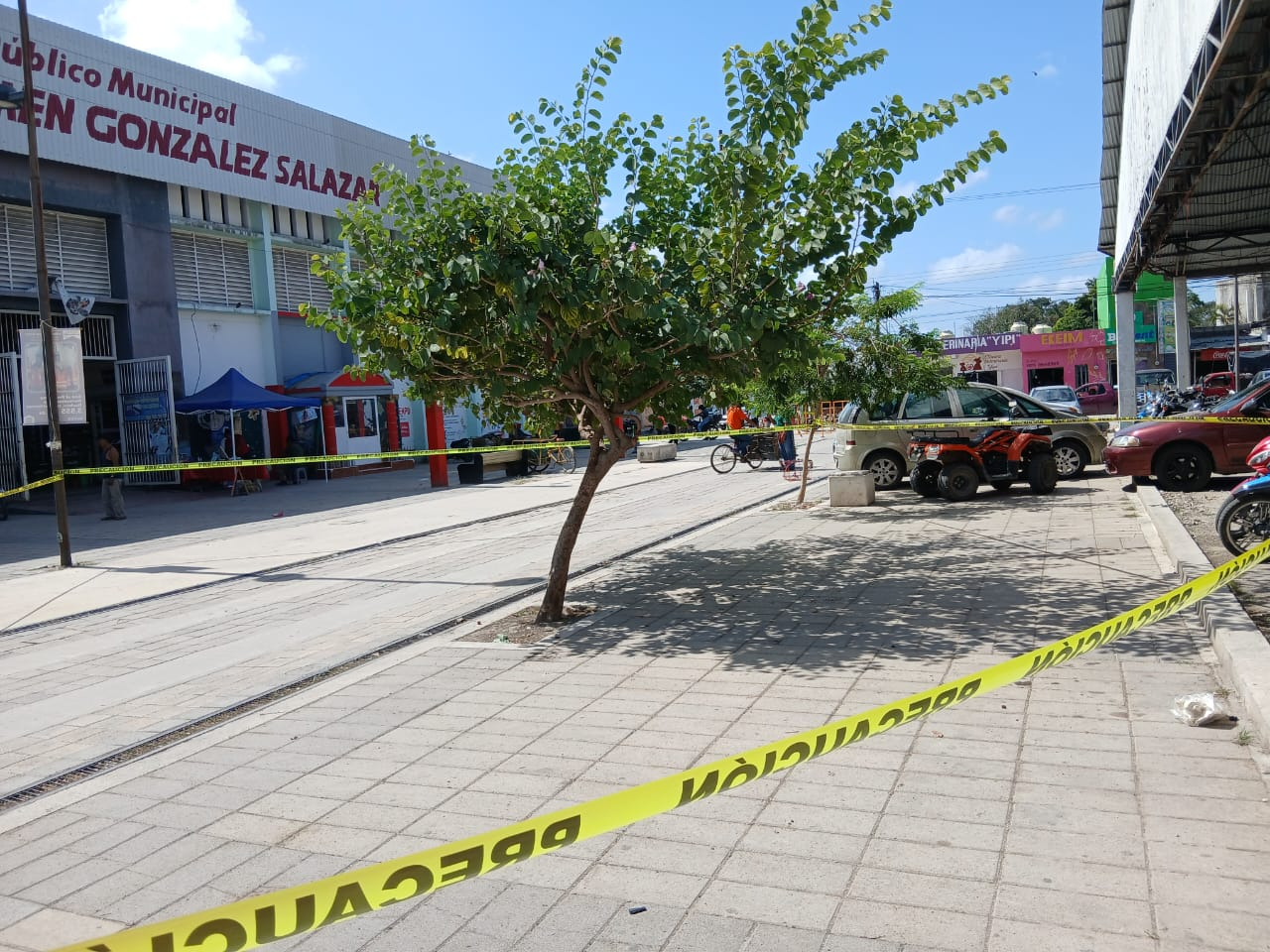 Enjambre de abejas africanas genera preocupación en mercado municipal de Escárcega
