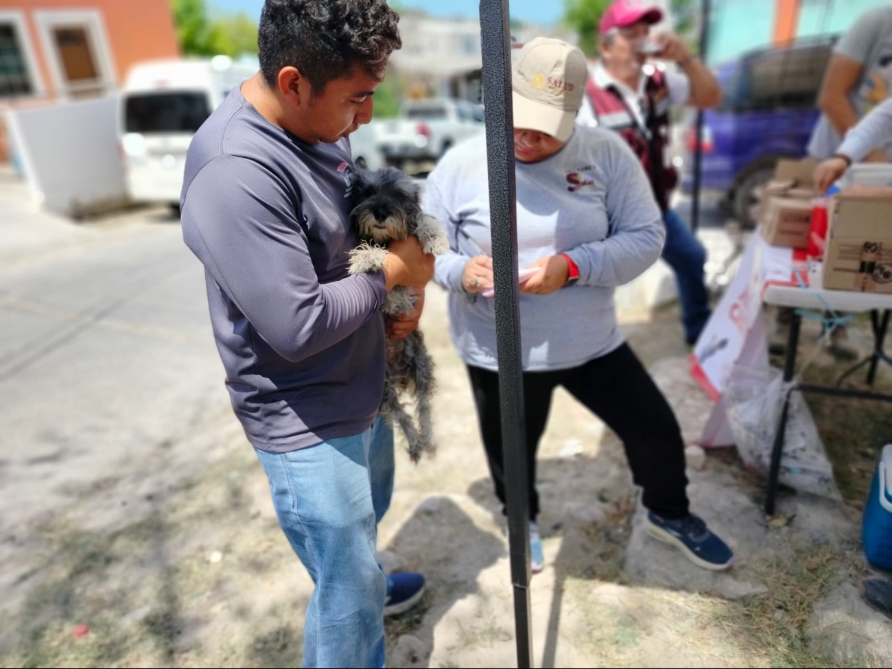 Inicia vacunación antirrábica en Campeche: Estos son los horarios y sedes