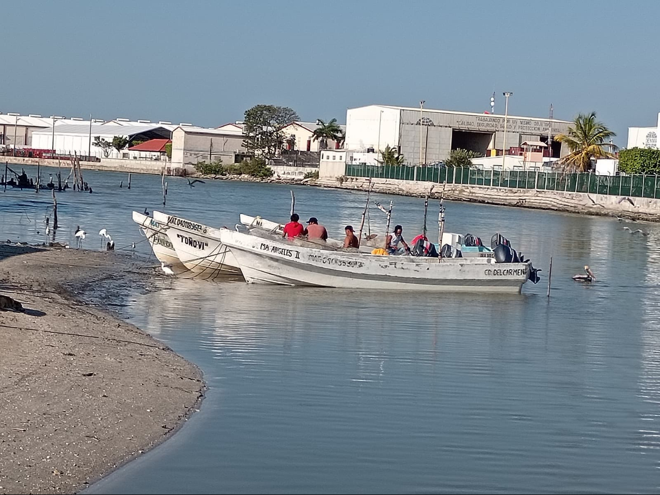  Ribereños de Ciudad del Carmen piden dragar La Caleta   